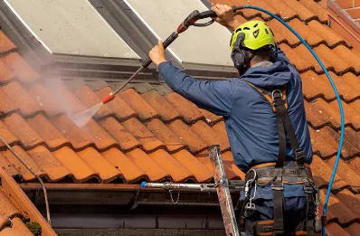 Démoussage et hydrofuge de toiture à Lugrin